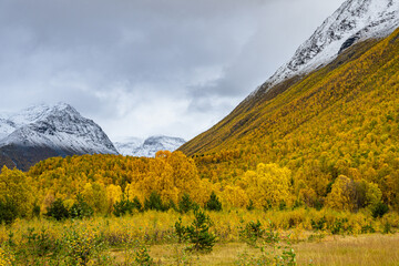 Valley of Kåfjorddalen with snow mountains