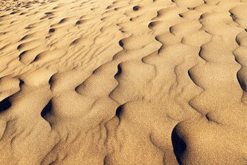 Closeup texture of the ridged surface of the sand with ripples and mini-dunes in the desert during sunset.
