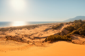 Fototapeta na wymiar Idyllic landscape with golden sand dunes of Patara illuminated by the rays of the setting sun and the blue sea on the horizon. Travel destinations in Turkey