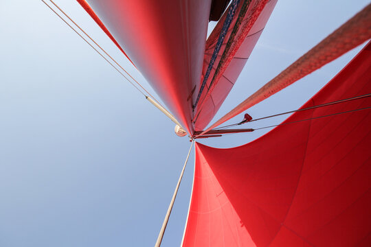 La vela rossa. Barca a vela.