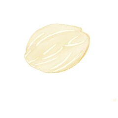 Endosperm of Barringtonia racemosa plant that grow on moist area such mangrove. It is a medicinal plant which used since ancient time in India, China and Taiwan. Drawn on white background.