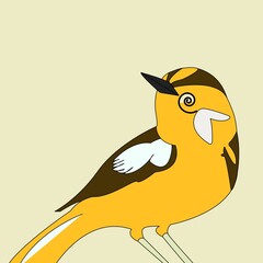 yellow brown illustration bird vector cute