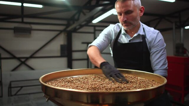 A man mixes green coffee beans in a roaster. Coffee beans are sent for roasting. 4k