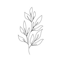 Leaves Continuous One Line Drawing. Black Line Floral Sketch on White Background. Contour Leaves Illustration. Vector EPS 10.