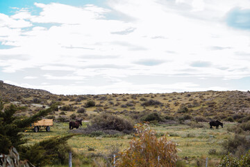 Fototapeta premium Un paisaje muy tranquilo