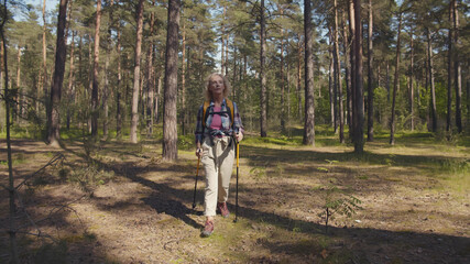 Obraz na płótnie Canvas Mature woman tourist with backpack and trekking poles walks on trail in forest