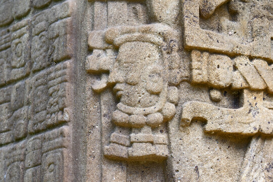 Quirigua, Guatemala, Central America: mayan hieroglyphs in Quirigua. Quirigua is an ancient Maya archaeological site in the department of Izabal in south-eastern Guatemala.