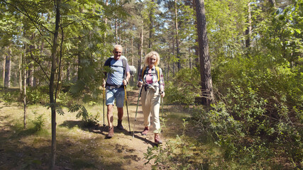 Senior backpackers couple hiking during summer in forest with sticks
