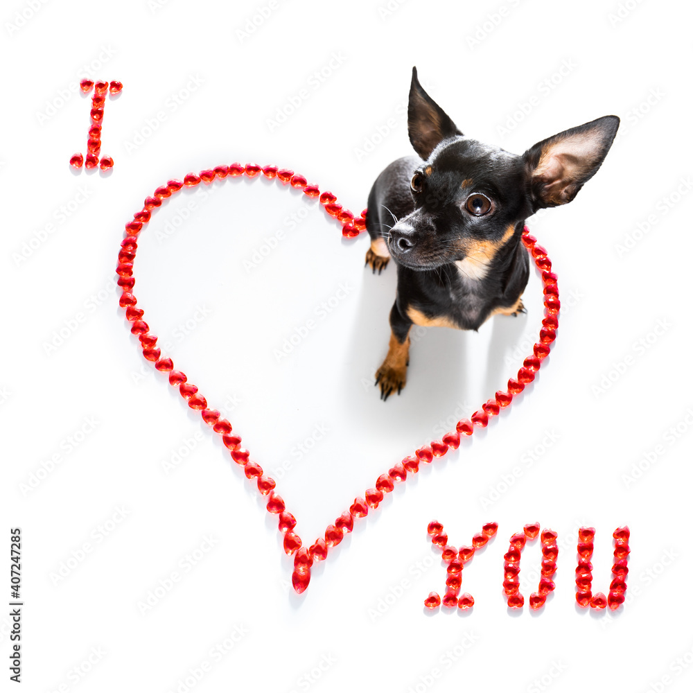 Canvas Prints dog valentines love heart