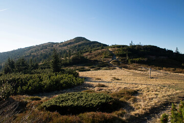 Diablak - main peak of Babia Gora - Witches' Mountain, highest peak of Beskids and this part of the Carpathian Mountains, Poland