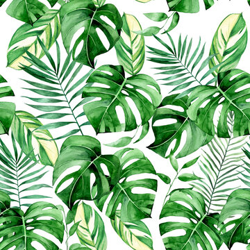 watercolor seamless pattern with green tropical leaves on a white background. palm leaves, monstera. abstraction in muted colors