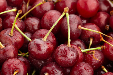 sour cherry macro detail closeup