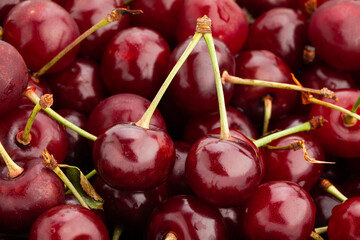 sour cherry macro detail closeup