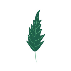 green color leave nature icon