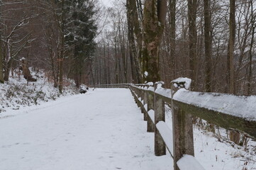 Winter, Park