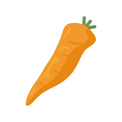 carrot vegetables healthy food icon