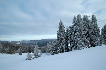 Winter landscape of Zywiec Beskids, near Rysianka peak, Poland