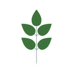 breanch with green color leaves nature icons