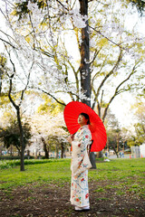 Kimono woman and cherry blossoms
