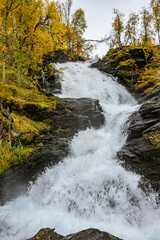 Waterfall with yellwo trees on the side