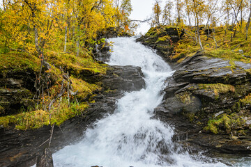 Waterfall with yellwo trees on the side