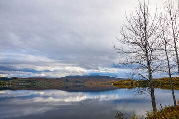 Shore from a lake with trees in the foreground
