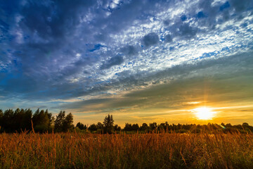 Fototapeta na wymiar Beautiful summer sunset or sunrise in a field with a beautiful sky.