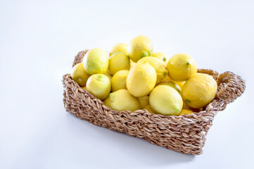 lemon harvest concept picture