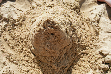 Making a sand castle on the beach.