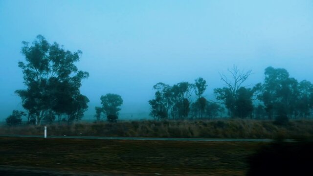 Driving During Misty Morning Passing Through Lush Tree Foliage Near Countryside. - POV
