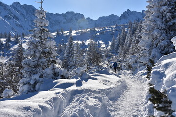 Turyści na szlakach w Tatrach, Dolina Gąsienicowa w Tatrzańskim Parku Narodowym, zimowe szlaki turystyczne - obrazy, fototapety, plakaty