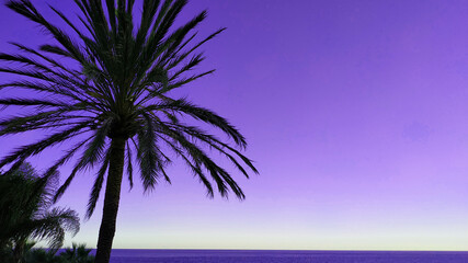 Atardecer en una playa paradisiaca descansando en solitario / Sunset on a paradisiacal beach resting alone
