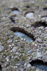 frozen ground below zero stone detail
