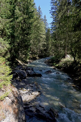 Rivière l'Arve - Les Praz de Chamonix