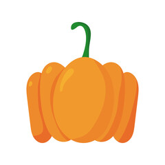 pumpkin vegetables healthy food icon