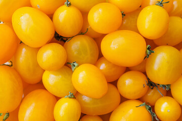 Yellow ripe organic tomato background