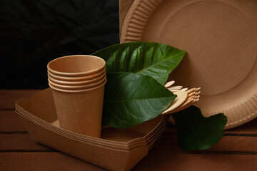different paper dishes, eko cardboard dishes