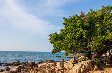 the coastline and the beach by the Gulf of Thailand Asia