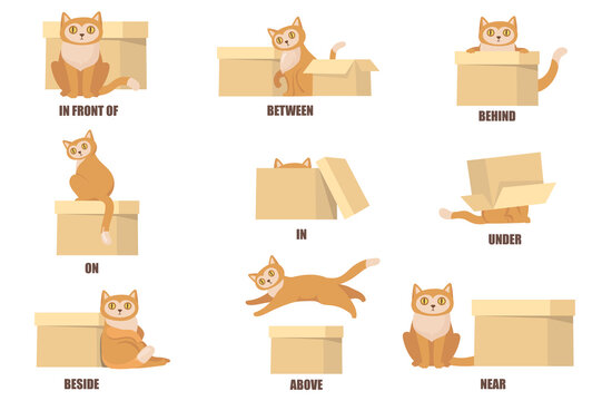 Learning prepositions with help of cat and box