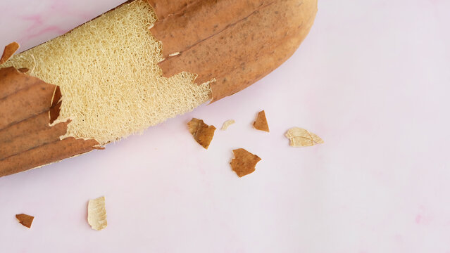A dried luffa plant with the skin peeled away revealing the fibrous loofah inside. With pink marble background.