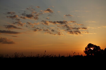Golden sunrise