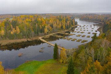 Aerial view of golden yellow autumn forest and water lakes. Misty and foggy weather