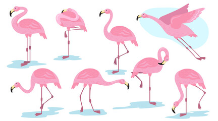 Pink flamingo bird in different poses flat set for web design © PCH.Vector
