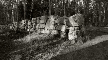 Monrepos Park, a fragment of a hedge made of granite boulders