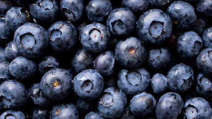 Hand hold Harvest summer jam ingredient organic bio tasty blueberry healthy natural purple fruit berry for sweet dessert vitamin antioxidant snack with fresh wet water drop