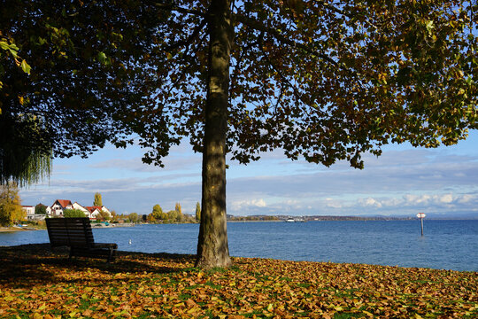 Am Bodensee I mmenstaad