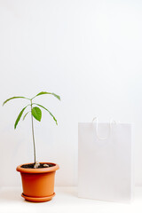 paper bag mockup. white Paper bag template on white background. mockup for design.