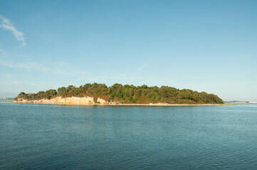 Naklejka premium Summertime scenery on Brownsea Island, Dorset, England.