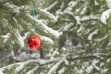 christmas decoration on the snow-covered branches of fir trees in the winter forest