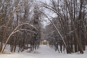 an alley in a snow-covered park
